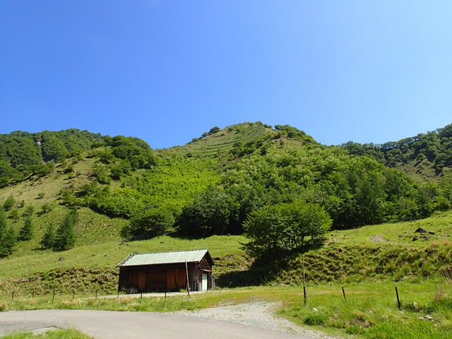 P6090437