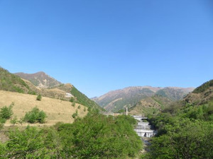 Img_0004