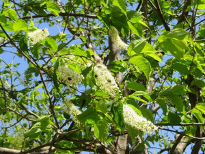 Img_0045