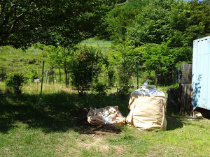 Dsc00204