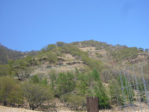 P1010567