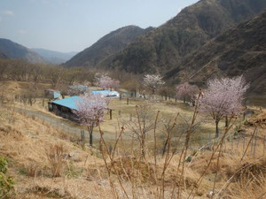 Dscn9790
