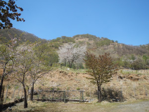Dscn9851