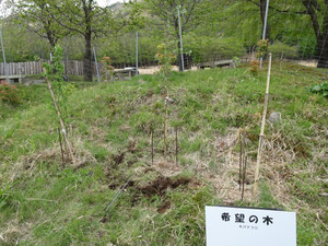 Dsc00280