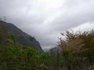 Dsc00544_2