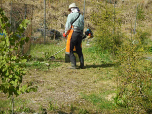 Photo_6
