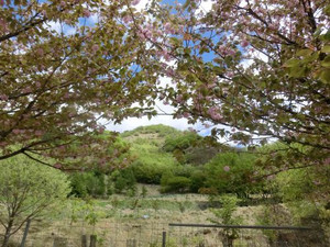 Cimg0029_2