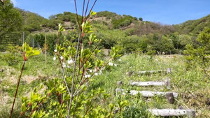 Photo_4