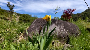 Photo_6