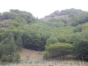 Dscn0044
