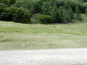Dscn0172_2