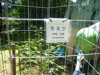 Photo_6