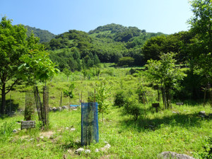 Dsc04078