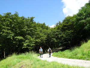 Dsc04096