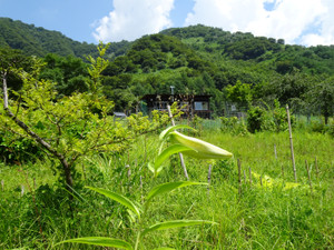 Dsc04123