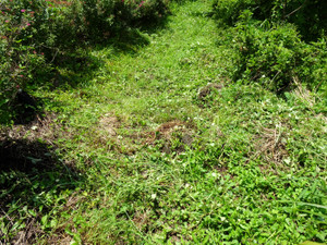 Dsc04129