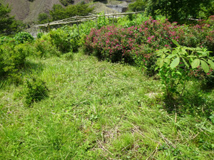 Dsc04169