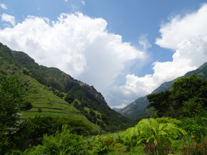 Dsc04171