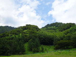 Dsc04385