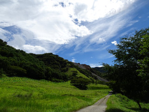 Dsc04690