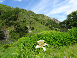 Dsc04700