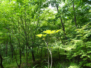 Dsc04830