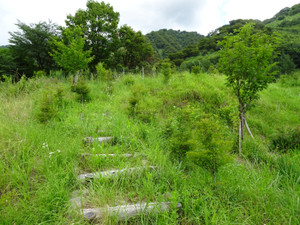 Dsc04974