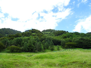 Dsc04994