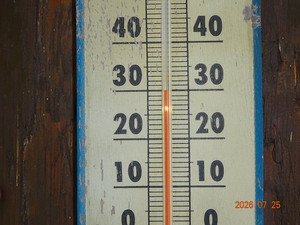 Dsc00733 Dsc00733