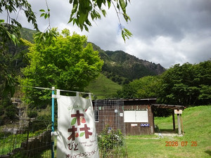 Dsc00734 Dsc00734