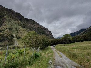 Photo_3