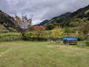 Photo_4