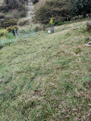Photo_4